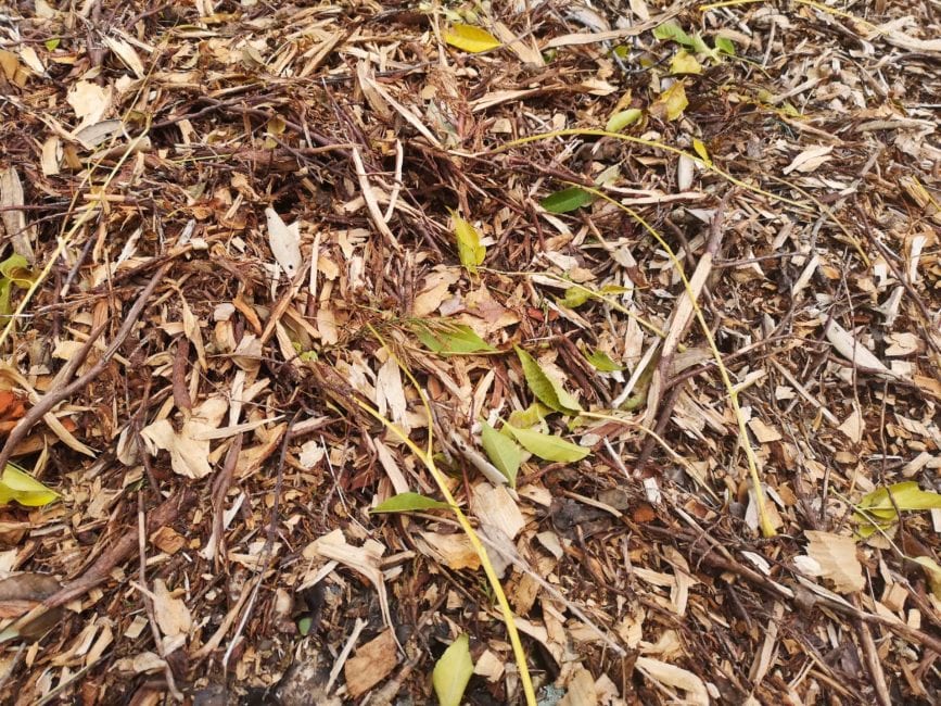 What can you do with stump grinding mulch?