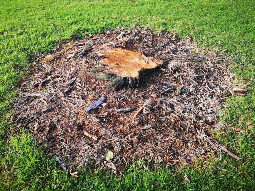 cheap small stump grinding Melbourne