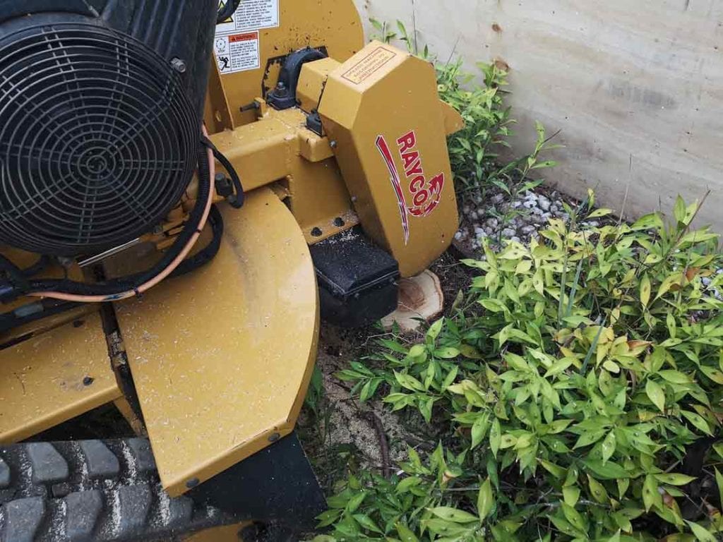 Stump removal in shrub bed