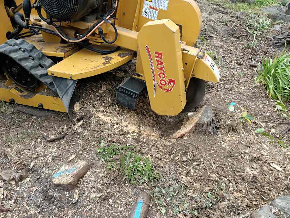 stump removal in keilor