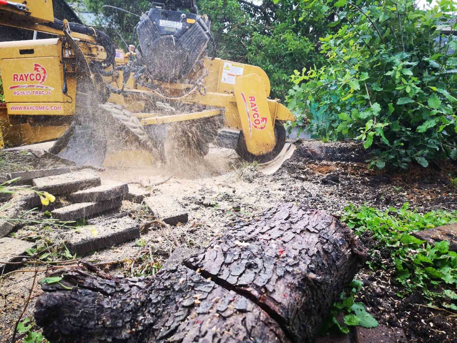 Understanding Local Tree Preservation Ordinances for Property Owners